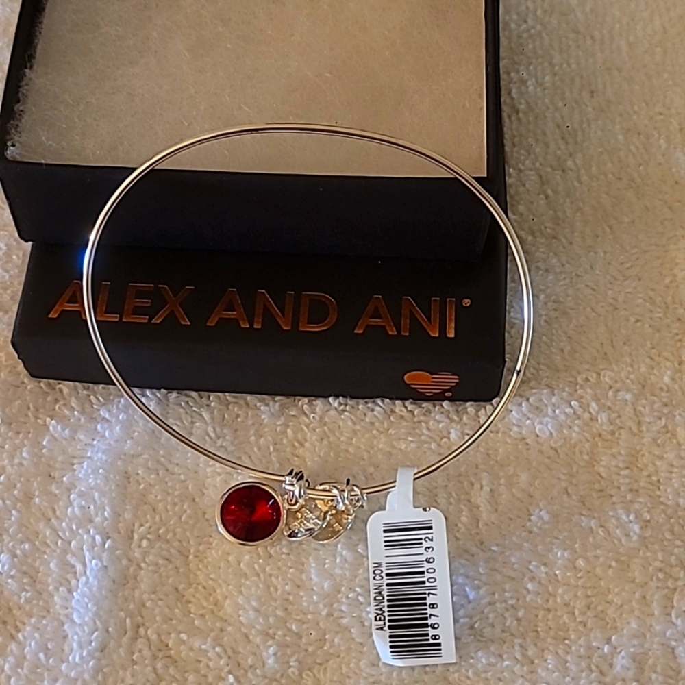 Alex and Ani Bracelet with January Garnet Birthstone & 3 silver charms